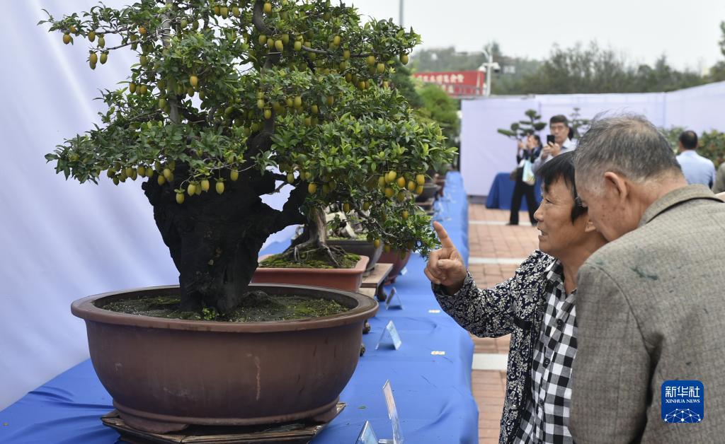 天天游戏大厅